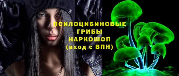 мдпв Нязепетровск