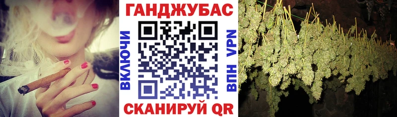 Купить где  Холм  Каннабис план 